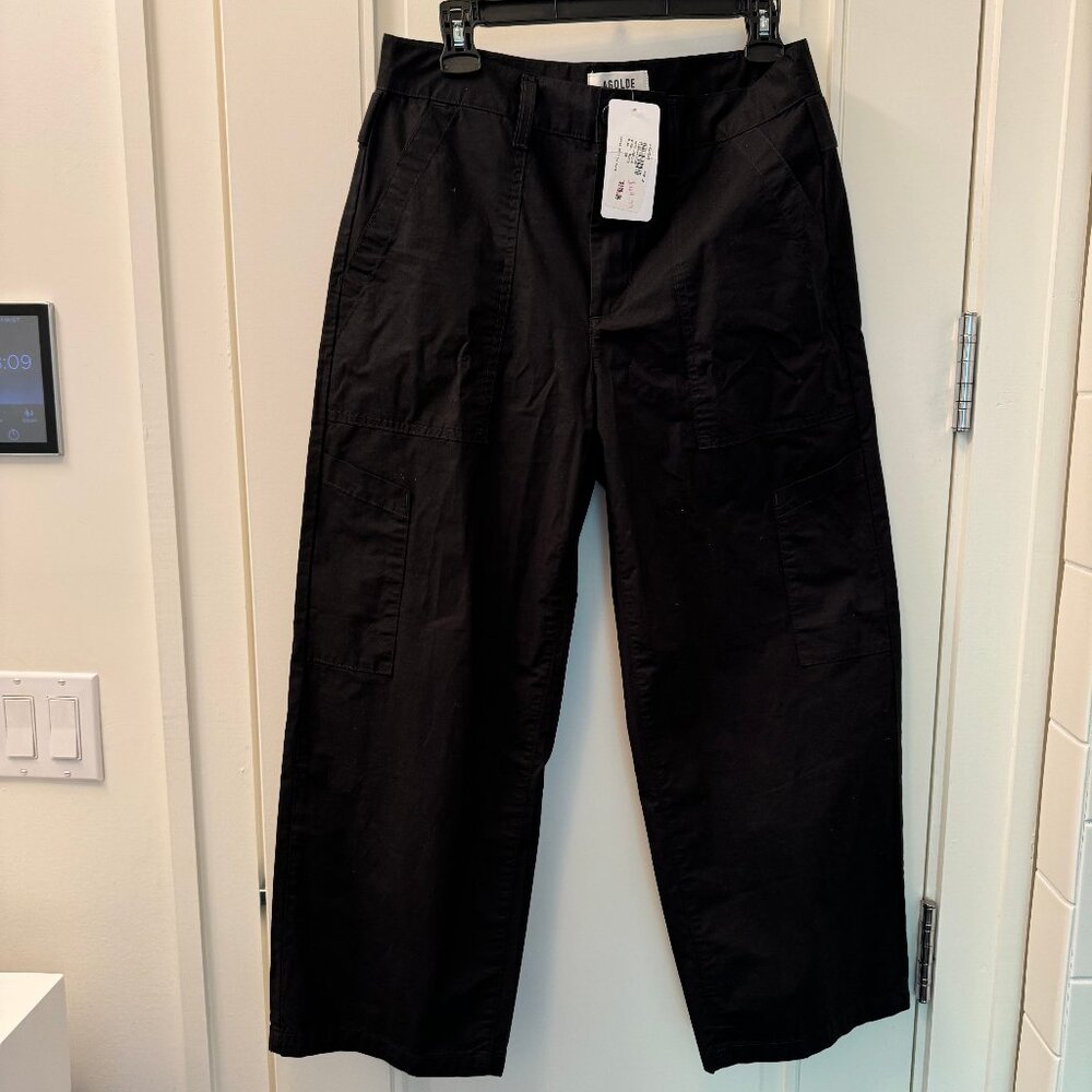 New Agolde Daria Utility Pant 28